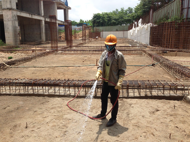 Thi công chống mối cho công trình xây dựng