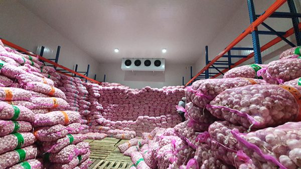Dịch vụ bảo quản nông sản nội địa
