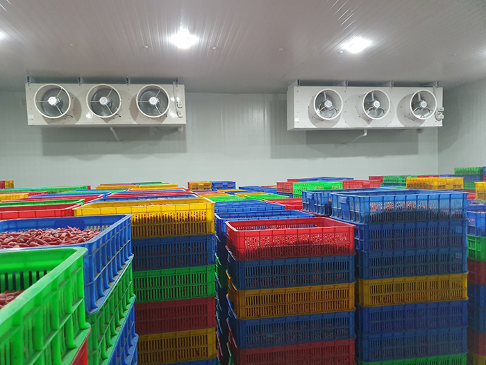 Dịch vụ bảo quản nông sản nội địa 7